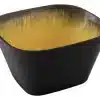גסטרונום 1/6-100 קפסול חרדל/שחור מלמין